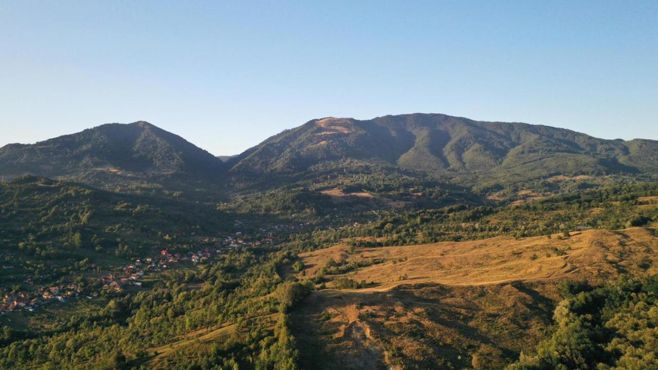 Cabanele Lu' Dinu Curtea de Argeş Екстериор снимка